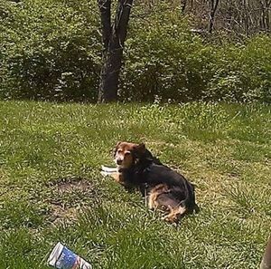 Meet your Posher, Diane